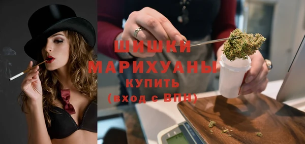дмт Алзамай