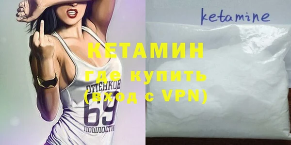 дмт Алзамай