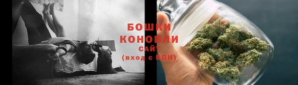spice Алексин