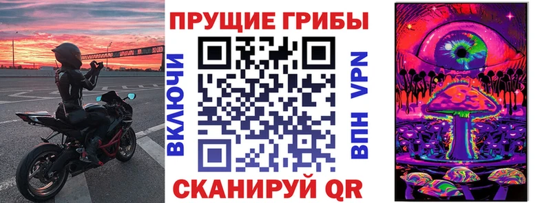 Псилоцибиновые грибы GOLDEN TEACHER  omg зеркало  Венёв 