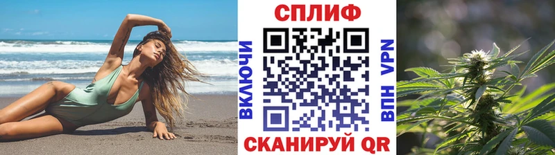 наркотики  Венёв  Бошки марихуана VHQ 